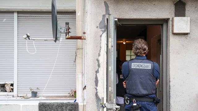 Konzertierte Razzia: Ratten, Mietwucher, Betrug: Behörden decken Missstände auf