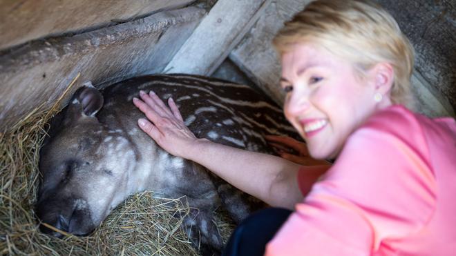 Landeszootag in MV: Der Schweriner Zoo habe sich in den vergangenen 70 Jahren immer wieder verändert und weiterentwickelt, sagte Mecklenburg-Vorpommerns Ministerpräsidentin Manuela Schwesig (SPD).
