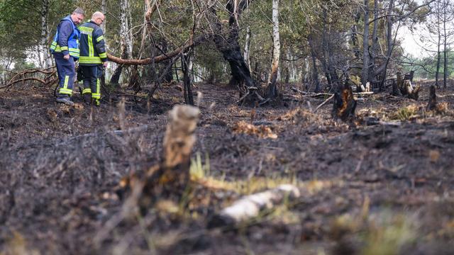 Schwieriger Einsatz: Moor brennt bei Diepholz – aufwendige Löscharbeiten
