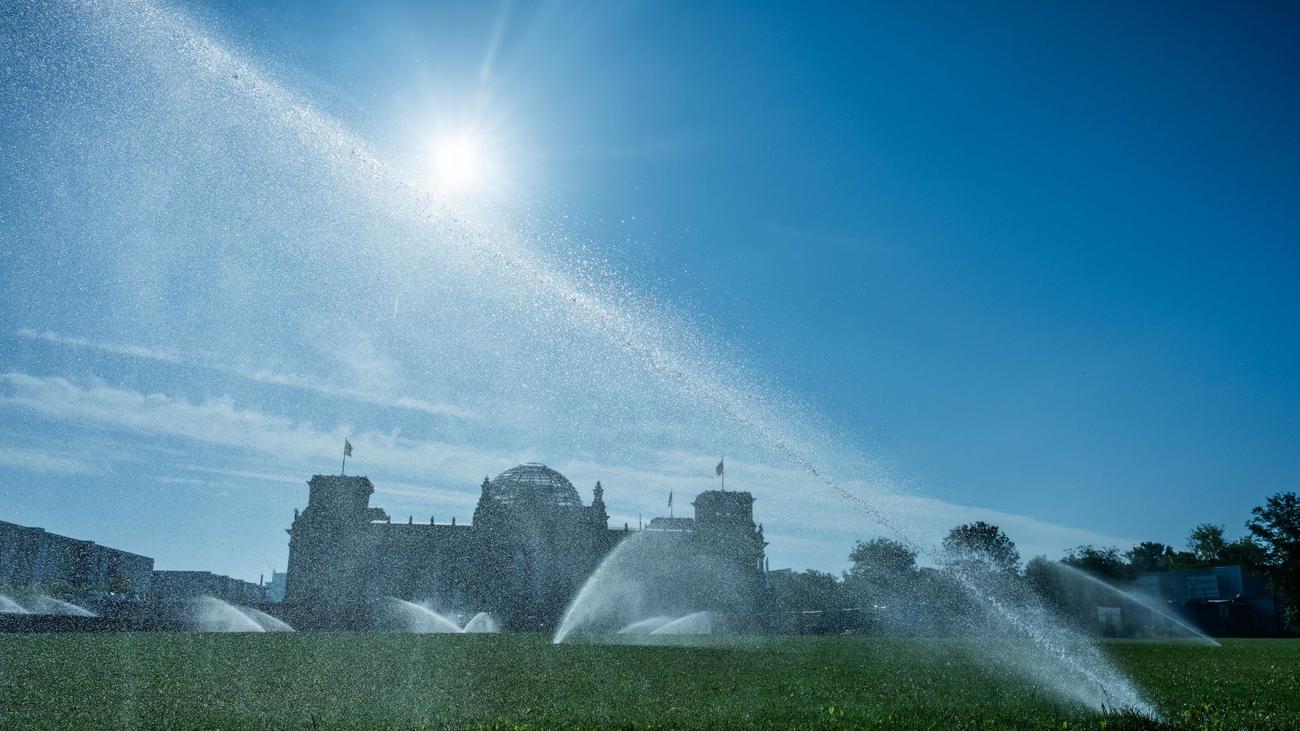 Um die 30 Grad: Sommerwetter am Wochenende – wann es Schauer geben kann