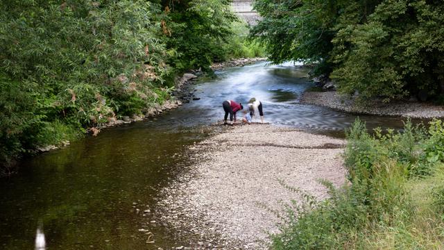 Trockenheit: Thüringens Flüsse und Grundwasser auf niedrigem Stand