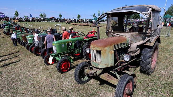 Oldtimer: Ein Oldtimer-Traktor schöner als der andere.