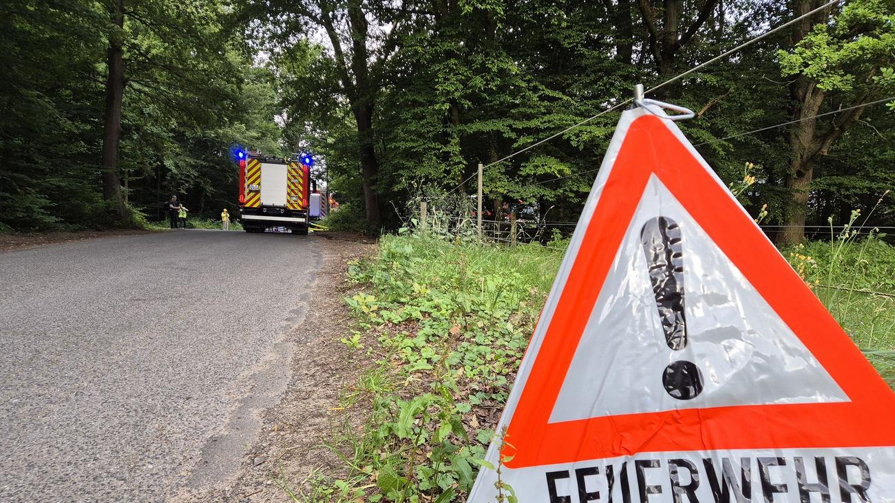 Kampf gegen Flammen: Feuerwehren: Brauchen mehr Technik für Waldbrand-Einsätze