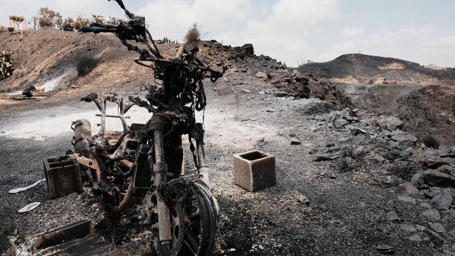 Kampf gegen Flammen: Die Gefahr von Waldbränden nimmt in Deutschland wieder zu. (Symbolbild)