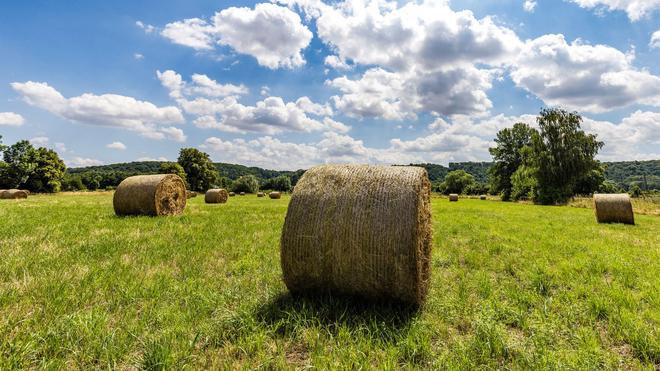 Landwirtschaft: Mit der Maschine macht ein Landwirt gerade Heuballen, als diese plötzlich in Flammen aufgeht. (Symbolbild)