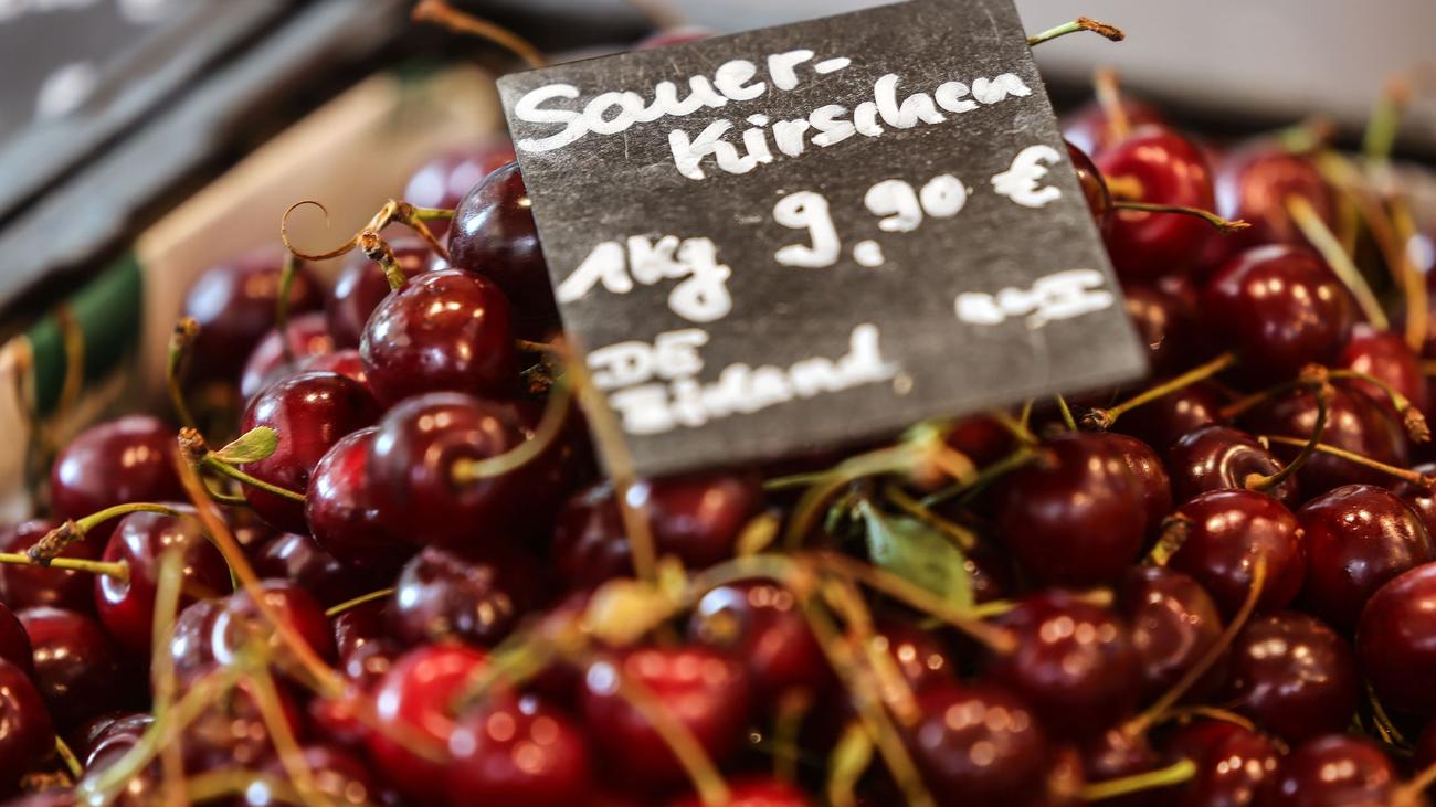 Erdbeeren und Kirschen: Obst aus NRW steht in starker Konkurrenz zu Importware