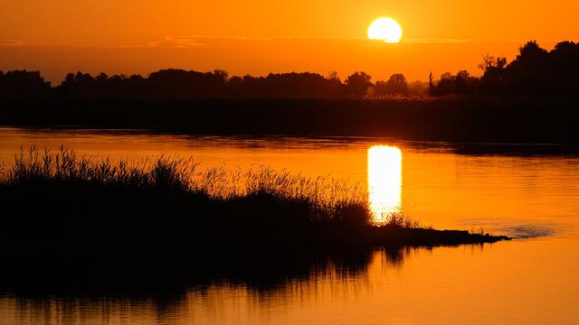 Wetter: Sommerwetter hält an – Waldbrandgefahr bleibt hoch