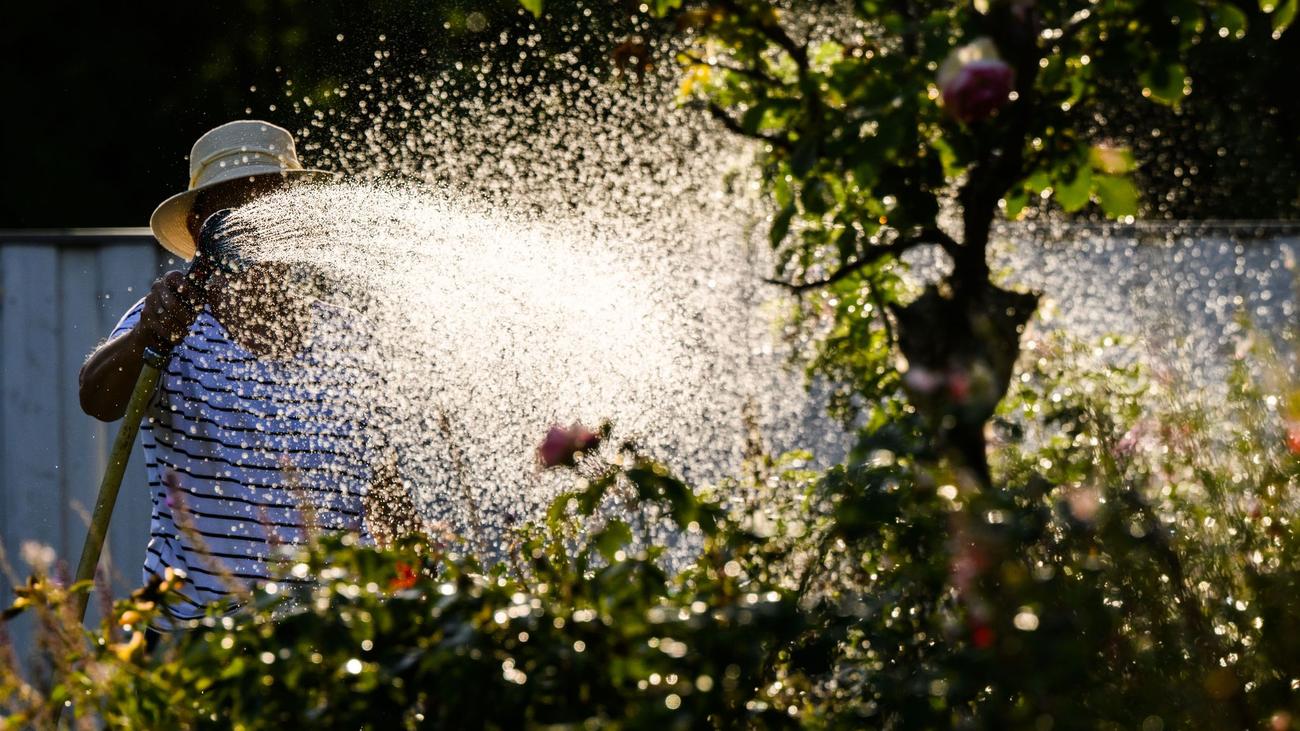Klimawandel: Wasserknappheit: Verband für mehr Einschränkungen