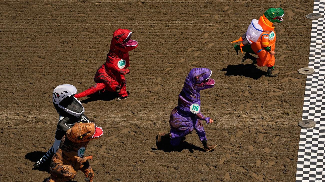 Fotografie: Bilder des Tages