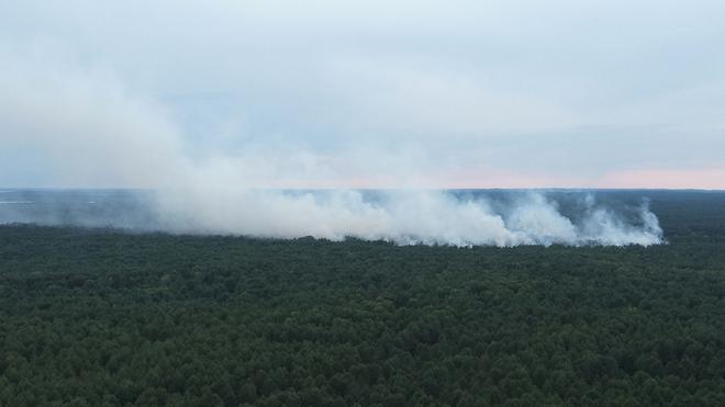 Emergencies: The fire in the Müritz National Park spread to around 155,000 square meters during the night.