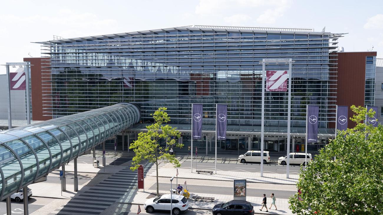 Zwischenfall am Flughafen: Hase bremst Flugverkehr in Dresden aus