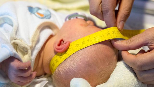 Rhineland-Palatinate Boosts Midwifery Support with New Funding