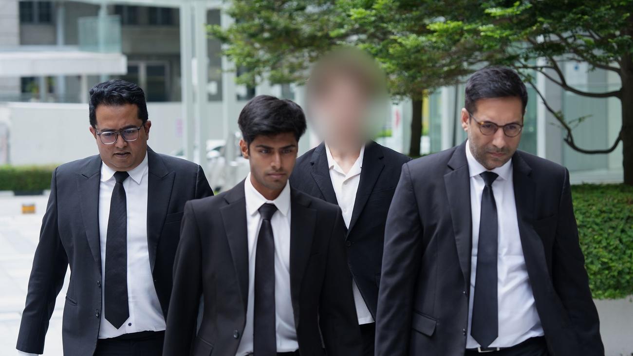 Internetaktion mit Folgen: Singapur: Franzose wegen Trinkhalm-Streichs vor Gericht