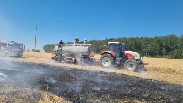 Hitze und kein Regen: Trockenheit im Südwesten – Feuerwehr warnt vor Brandgefahr