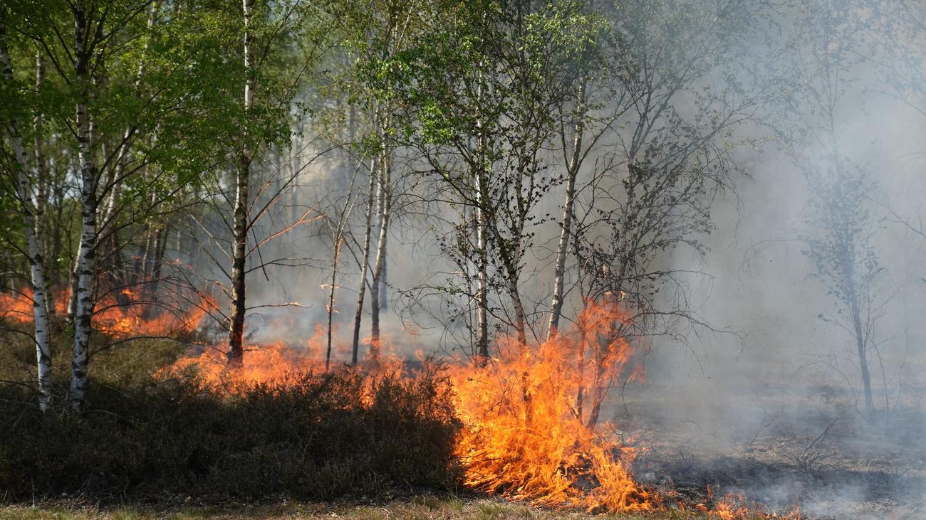Gelände mit Munition belastet: Waldbrand auf früherem Militärgelände bei Jüterbog