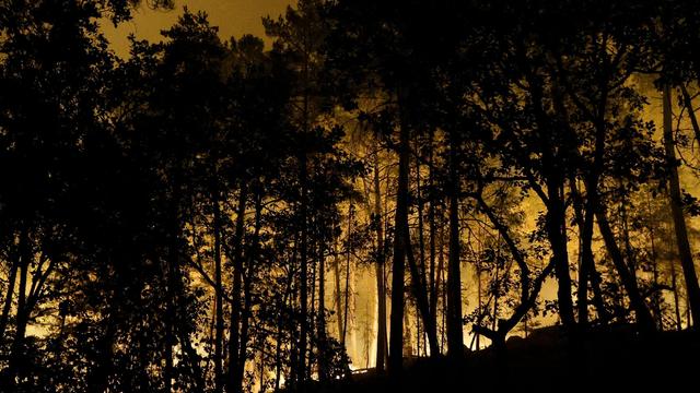 Wald von Fontainebleau: Waldbrand bei Paris – Löschflugzeuge im Einsatz