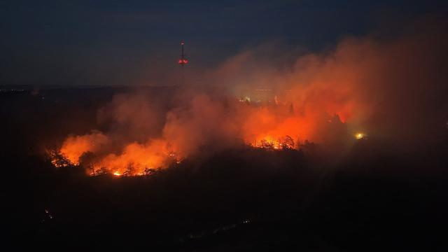 Gemeinsam gegen die Flammen: Wie Forst und Feuerwehr Waldbrände besser bekämpfen wollen