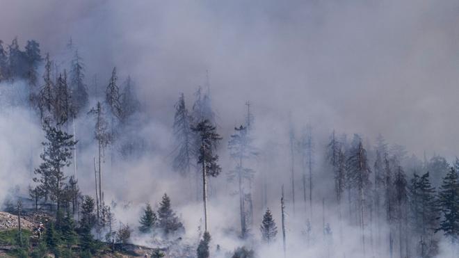 Hohe Brandgefahr: Im Fall eines Waldbrands gilt: selbst löschen - aber nur, wenn man sich nicht in Gefahr begibt. (Symbolbild)