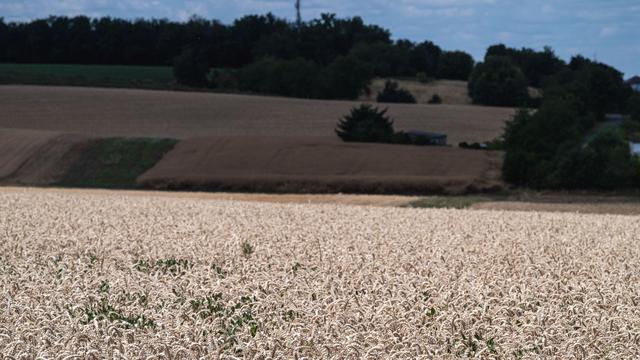 Trockene Felder: Brandgefahr: Wenn Trockenheit Hessens Landwirten schadet