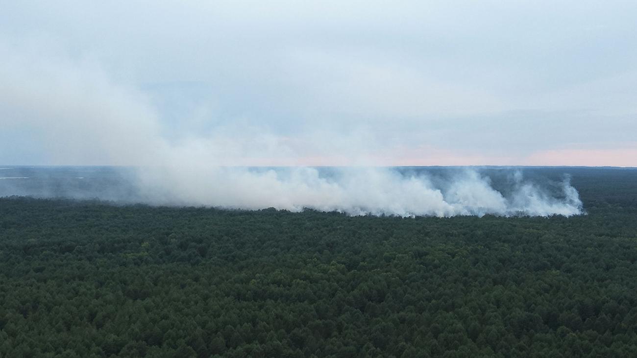 Notfälle: Einsatzkräfte halten Feuer im Müritz-Nationalpark in Schach