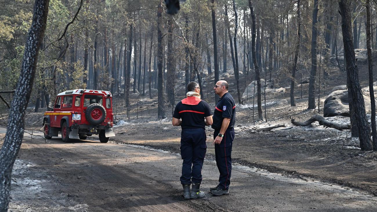 Wald von Fontainebleau: Feuerwehrmann gesteht Mitschuld an Waldbrand bei Paris