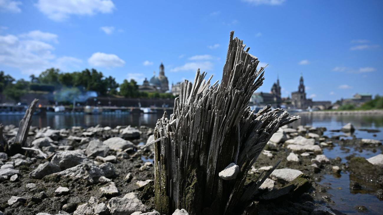 Trockenheit: Landkreis Leipzig verbietet Wasserentnahme aus Flüssen
