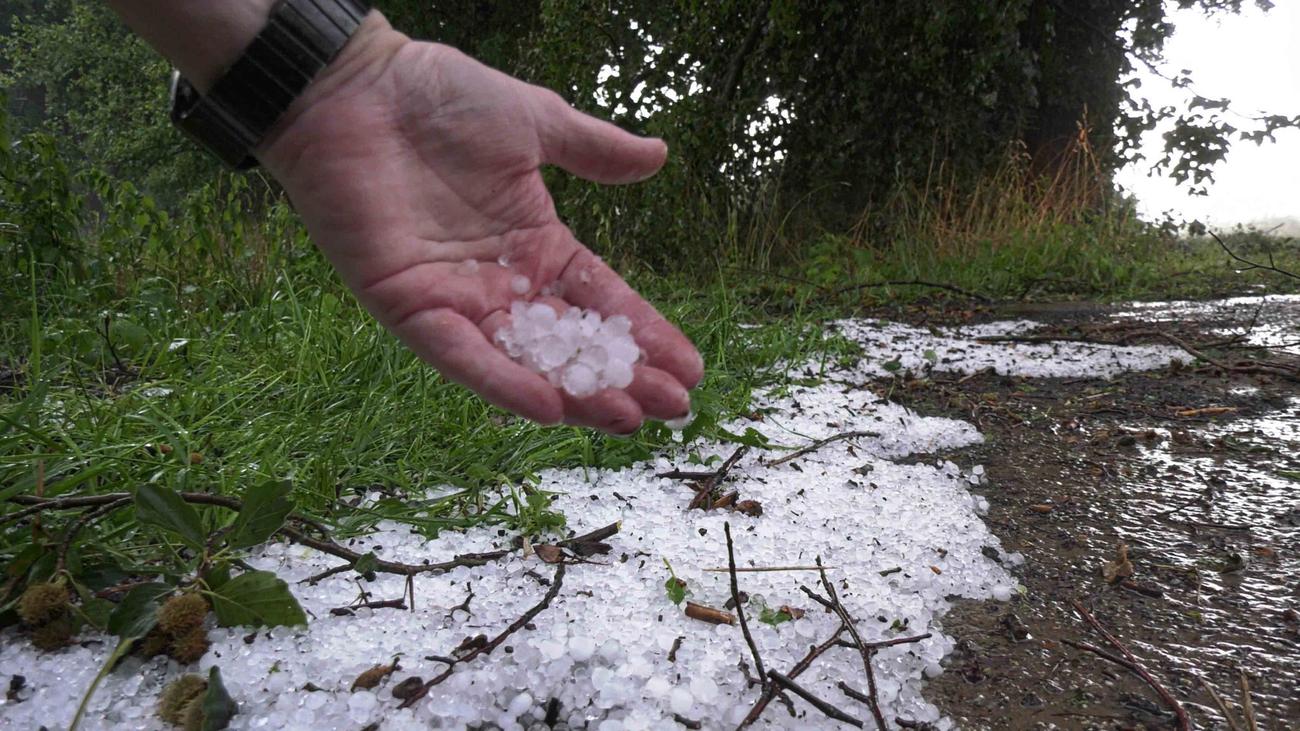 Unwetter in Niedersachsen: «So ein Chaos»: Schwerer Hagel richtet massive Schäden an