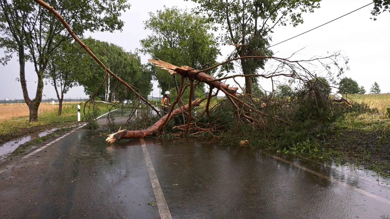 Unwetter: Tennisballgroßer Hagel fällt in Mecklenburg-Vorpommern