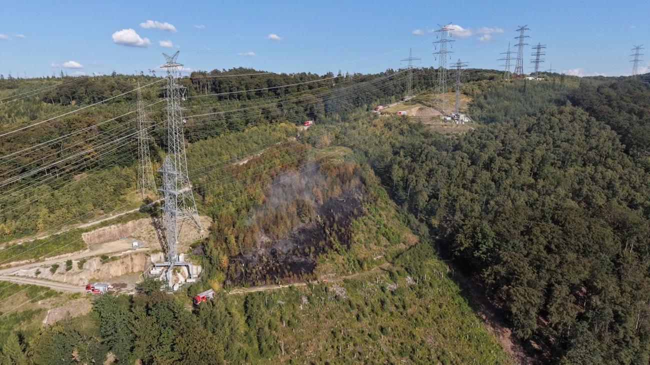 Arbeiter von Feuer überrascht: Waldbrand in Iserlohn - Feuerwehr rettet Leitungsmonteure