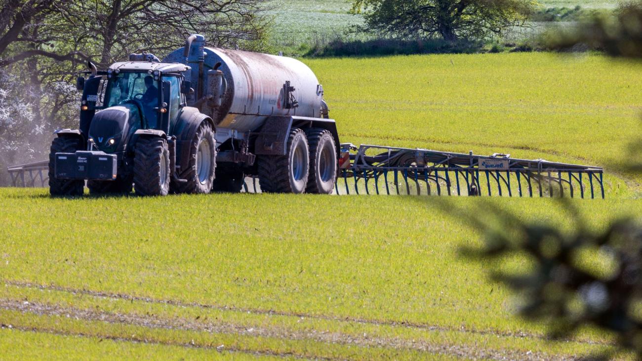 Landwirtschaft: EU-Kommission: Milliarden-Kosten durch Stickstoffbelastung