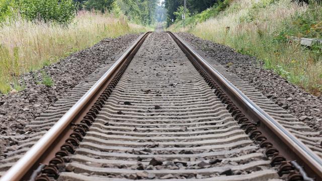 Bauarbeiten an Bahnstrecke: Hessenforst und Bahn stärken Waldränder gegen Klimawandel