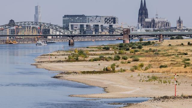Schiffsverkehr: Niedrige Pegelstände: Schifffahrt auf Rhein beeinträchtigt
