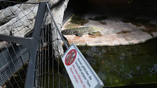 Plastikmüll im Zoo: So will die Wilhelma Krokodile vor Plastikmüll schützen