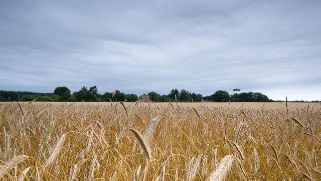 Wettervorhersage: Sommerliche Temperaturen von Unwettern begleitet
