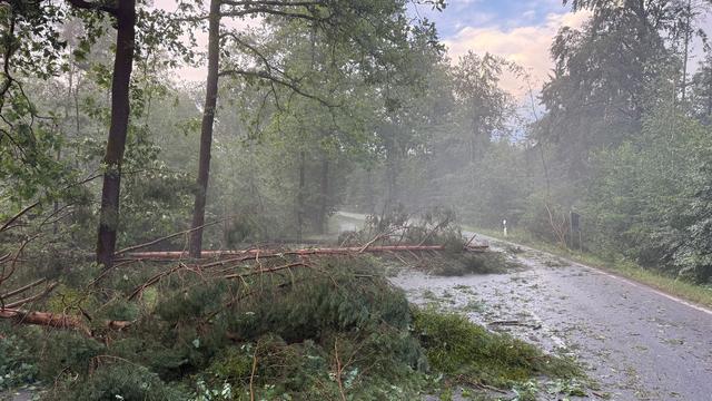 Sommer in Bayern: Sonne, Wolken und Gewitter