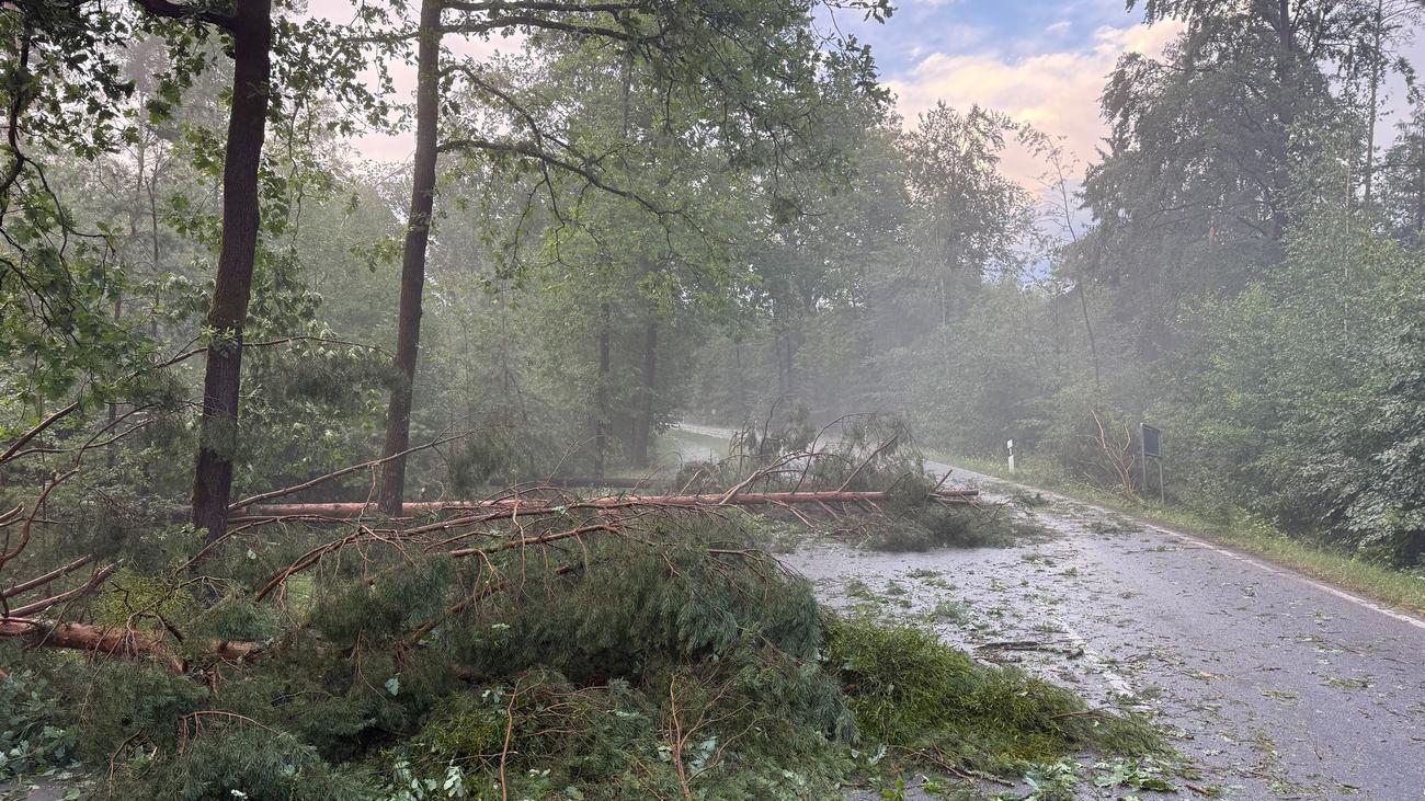 Sommer in Bayern: Sonne, Wolken und Gewitter