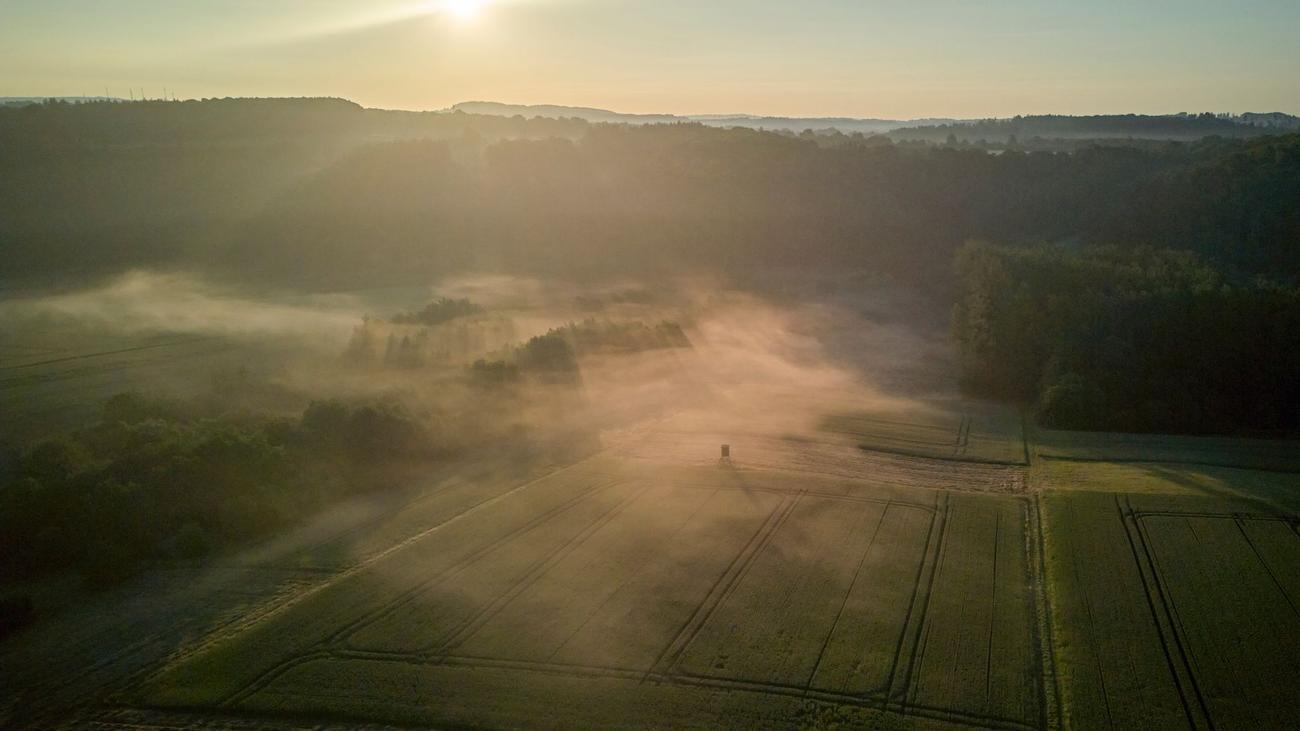 Outdoorerlebnis: Vier Wanderwege aus Rheinland-Pfalz ausgezeichnet
