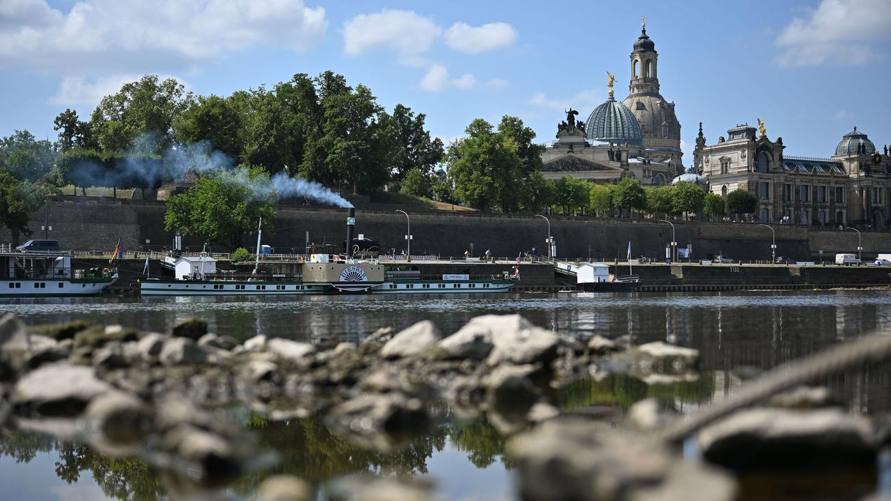 Trockenheit: Weiße Flotte fährt nur noch auf einer Linie in Dresden