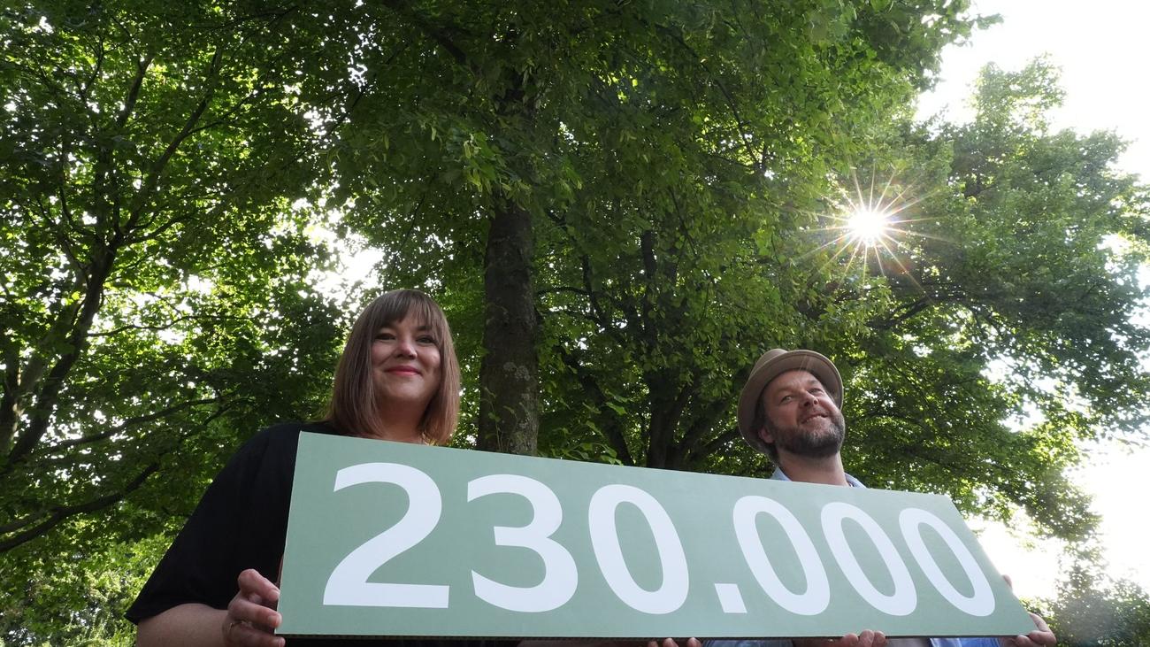 Baumbilanz: 230.000 Straßenbäume: Hamburger Bestand wächst weiter