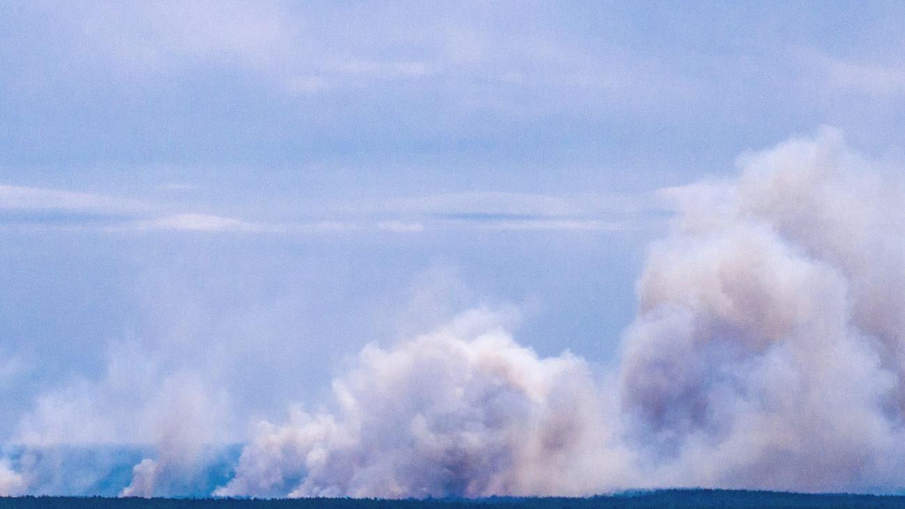 Feuerwehr im Großeinsatz: Feuer im Müritz-Nationalpark - Es brennt es auf 318 Hektar