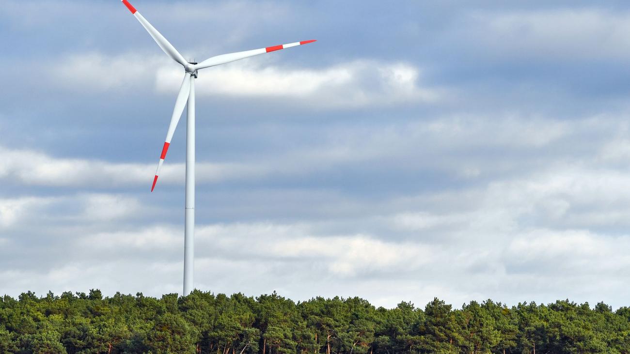 Erneuerbare Energien: Weiterer Gegenwind für Windkraft im Wald