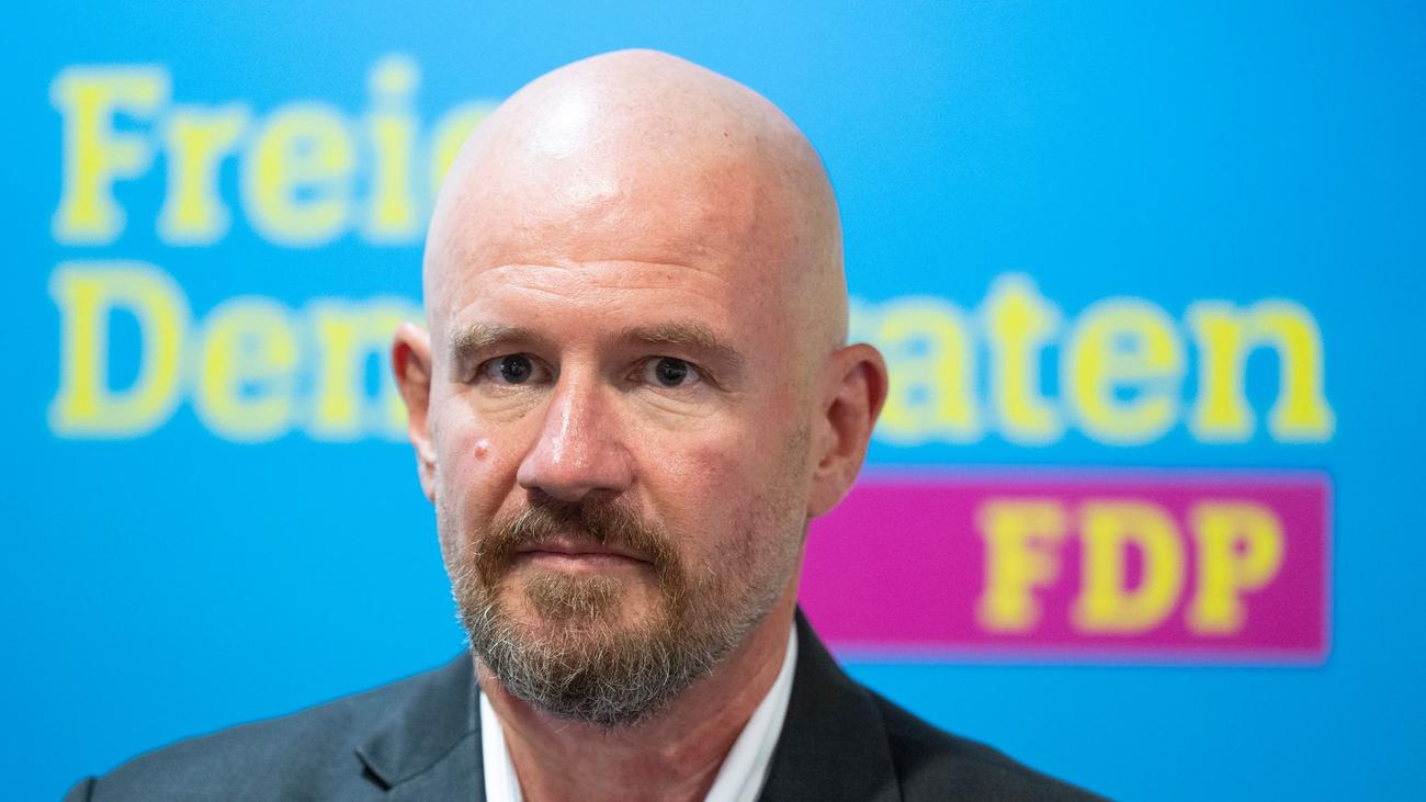 Mitgliederbefragung: Europapolitiker soll die FDP in Baden-Württemberg retten