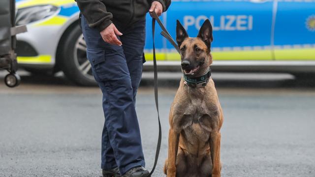 Erfolg bei Suche: Fährtenhund Spejbl spürt Vermissten in Feld auf