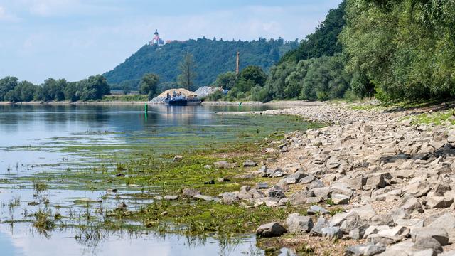 Trockenheit: Niedrigwasser bremst Güter- und Ausflugsschiffe aus