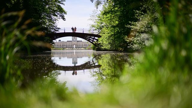 Parkanlagen als Ausflugsziel: Stiftung warnt: Trockene Bäume in Parks gefährden Besucher