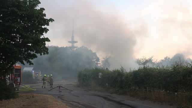Brand neben Waldgebiet: 200 Heuballen in Flammen – Wald in unmittelbarer Nähe