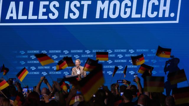 AfD Politician Equates Merz and Honecker Policies, Drawing Criticism