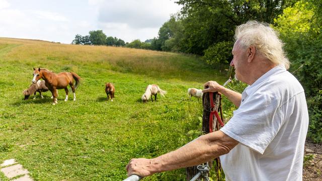 Tiere: Debatte um Wolfsrisse und Abschusspläne in Greifenstein