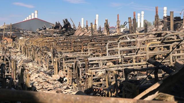 Brandschutz auf dem Prüfstand: Nach Großbrand: Sachsen-Anhalt will besseren Brandschutz