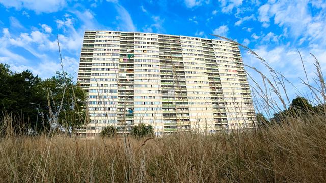 Brennpunkt-Hochhaus: Heftiger Streit am «Weißen Riesen» - Mann in U-Haft